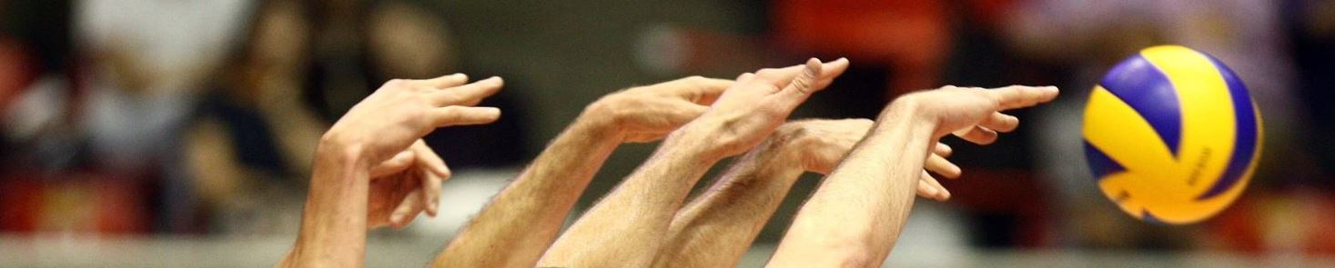 Le MLVB pour une expérience unique de Volley-ball & Beach-volley
 
 
 